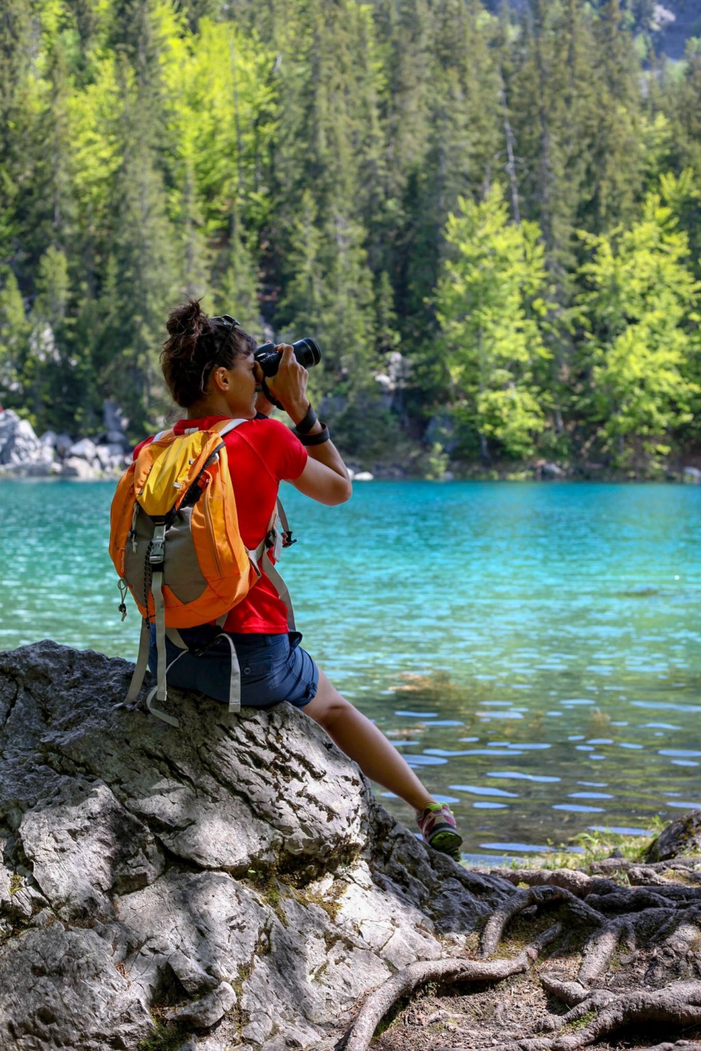 Le Lac Vert de Plaine&nbsp;Joux
